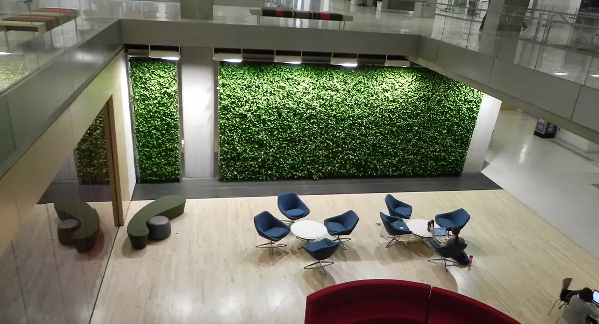 How plants reduce noise levels indoors