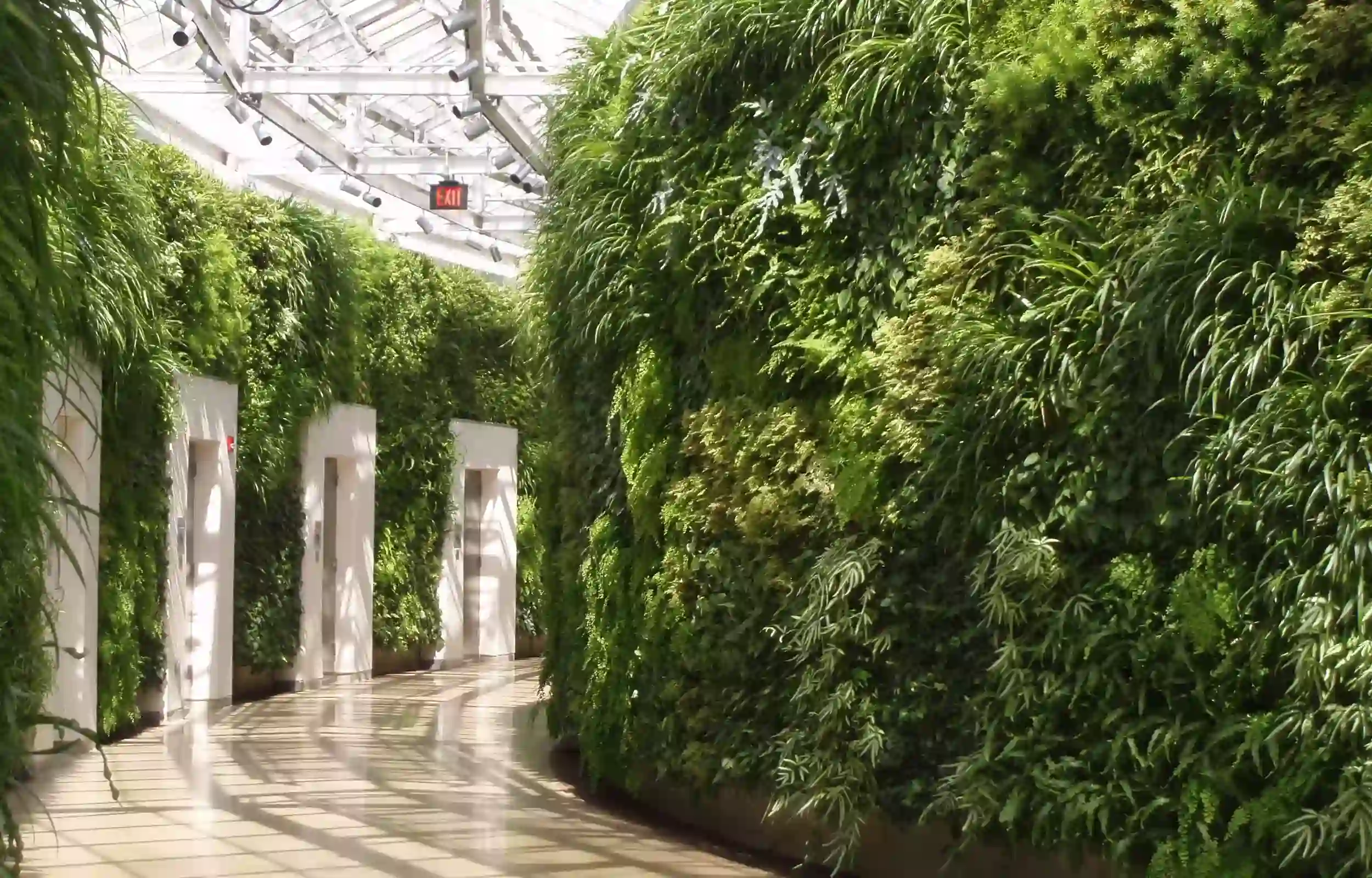 Green wall in commercial property hallway by elevators