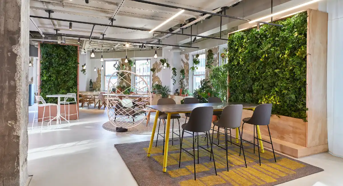 Green walls in sitting area