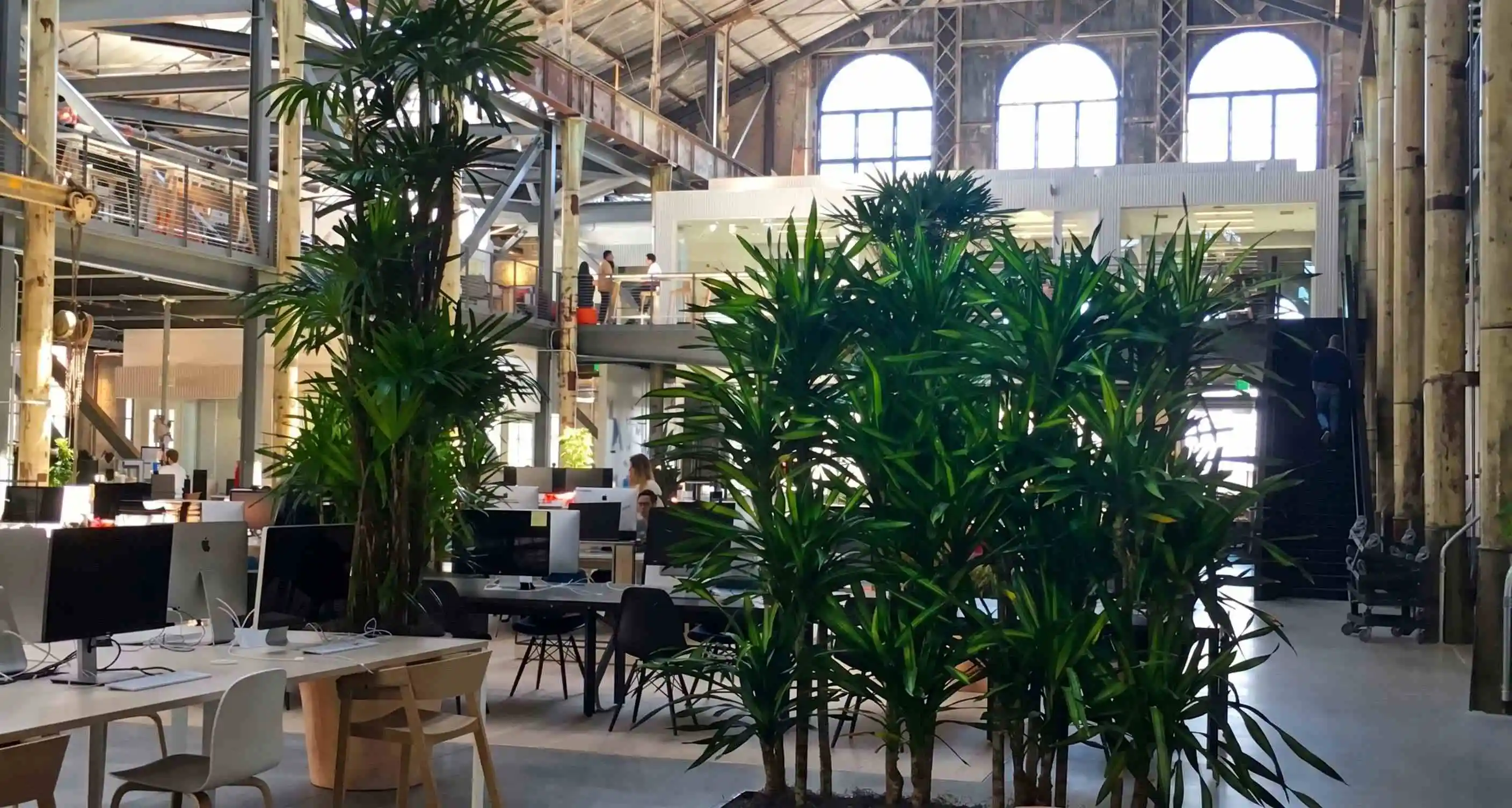 Interior landscaping at Gusto's corporate headquarters