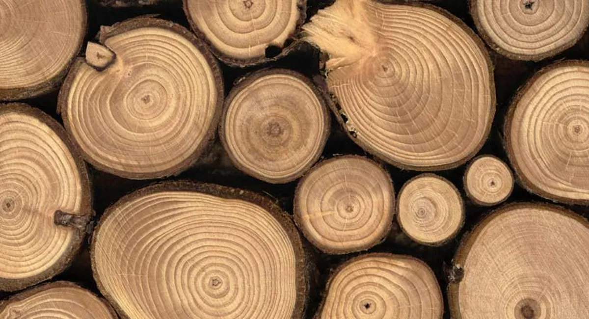 logs