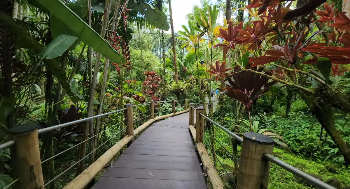 image-banner-stock-hawaii-tropical-bioreserve---garden-1395030030.webp