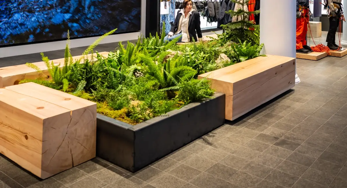 Live plants in retail store