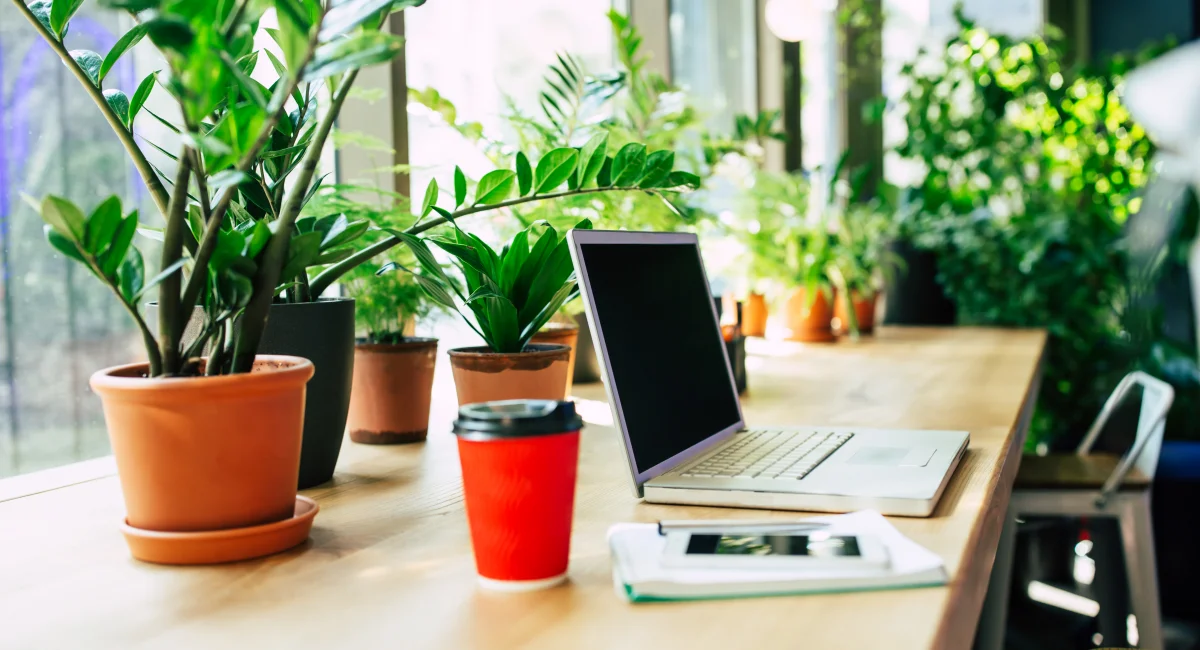 image-banner-stock-side-view-photo-of-digital-laptop-1147118167.webp