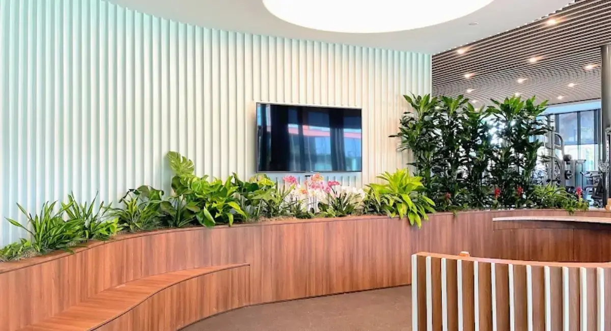 live plants under tv in sitting area