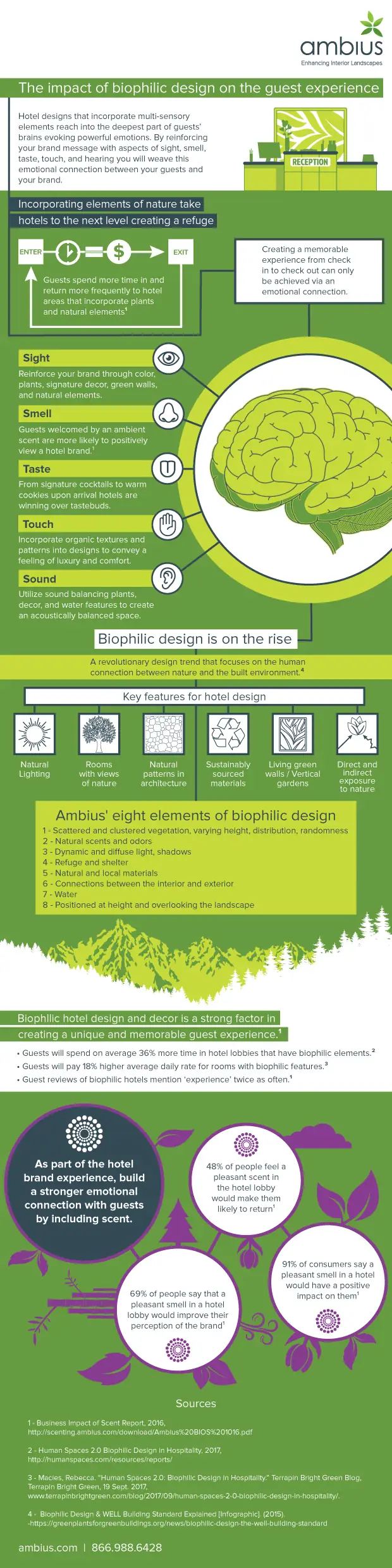 Infographic about Biophilic design and the impact on guest experience with Ambius branding