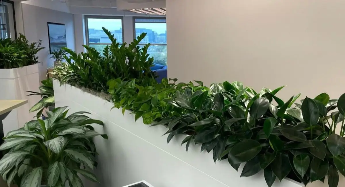 Planter wall with live plants