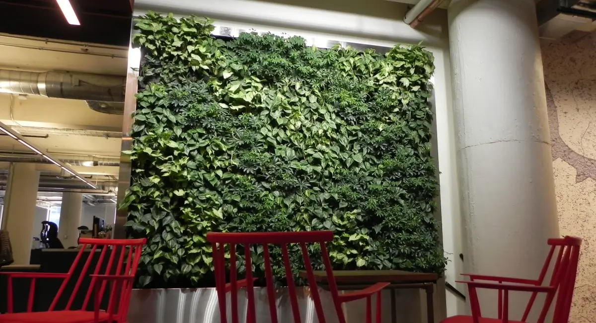 greenwall