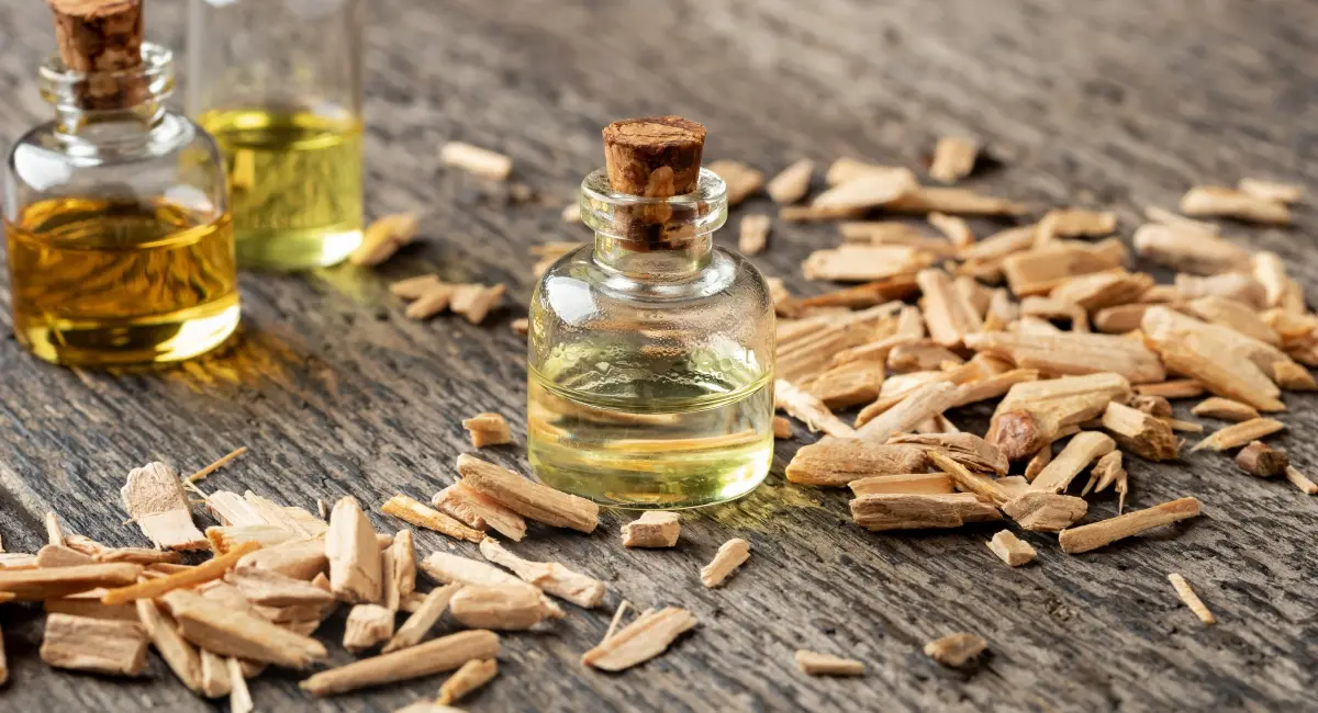image-banner-stock-bottles-of-essential-oil-with-cedar-wood-chips-1201691447.webp