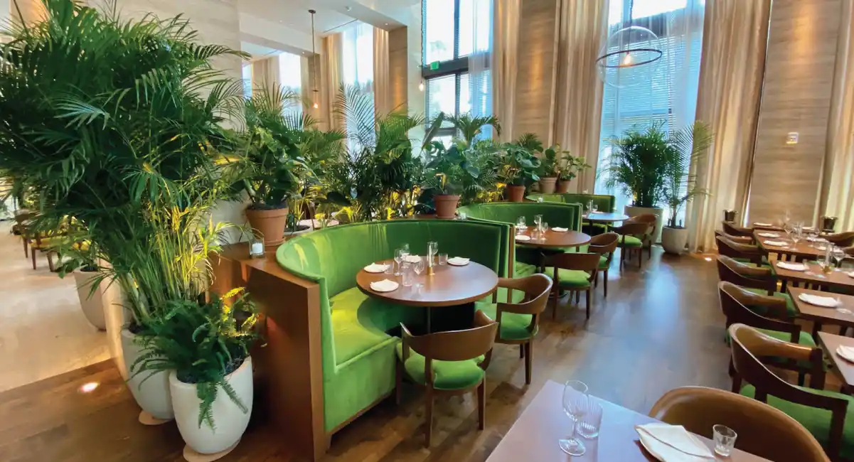 Restaurant decorated with large indoor plants