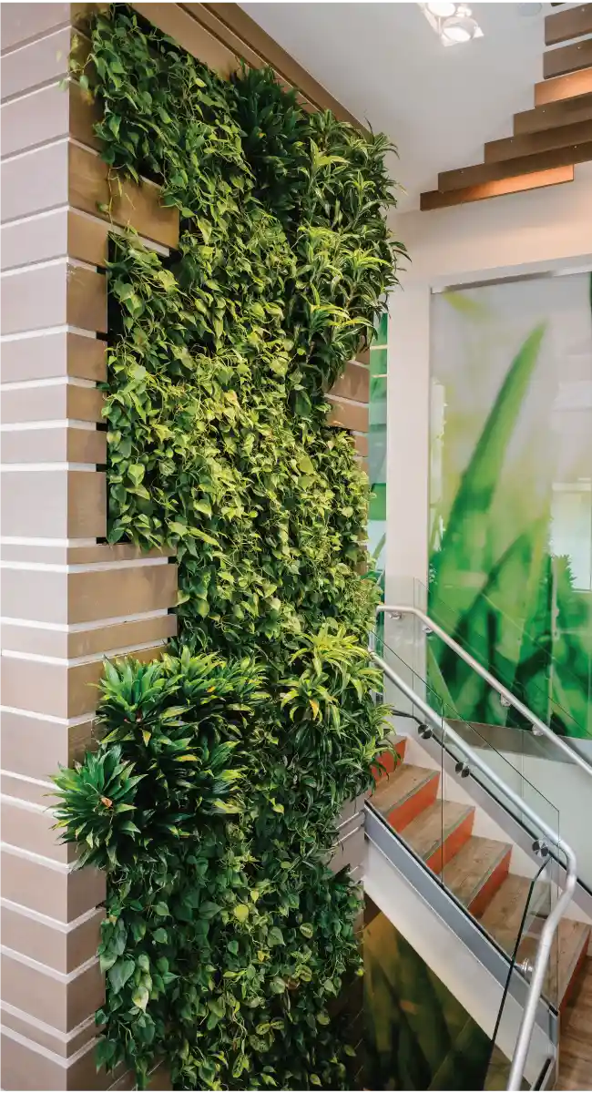 Restaurant hotel plant wall