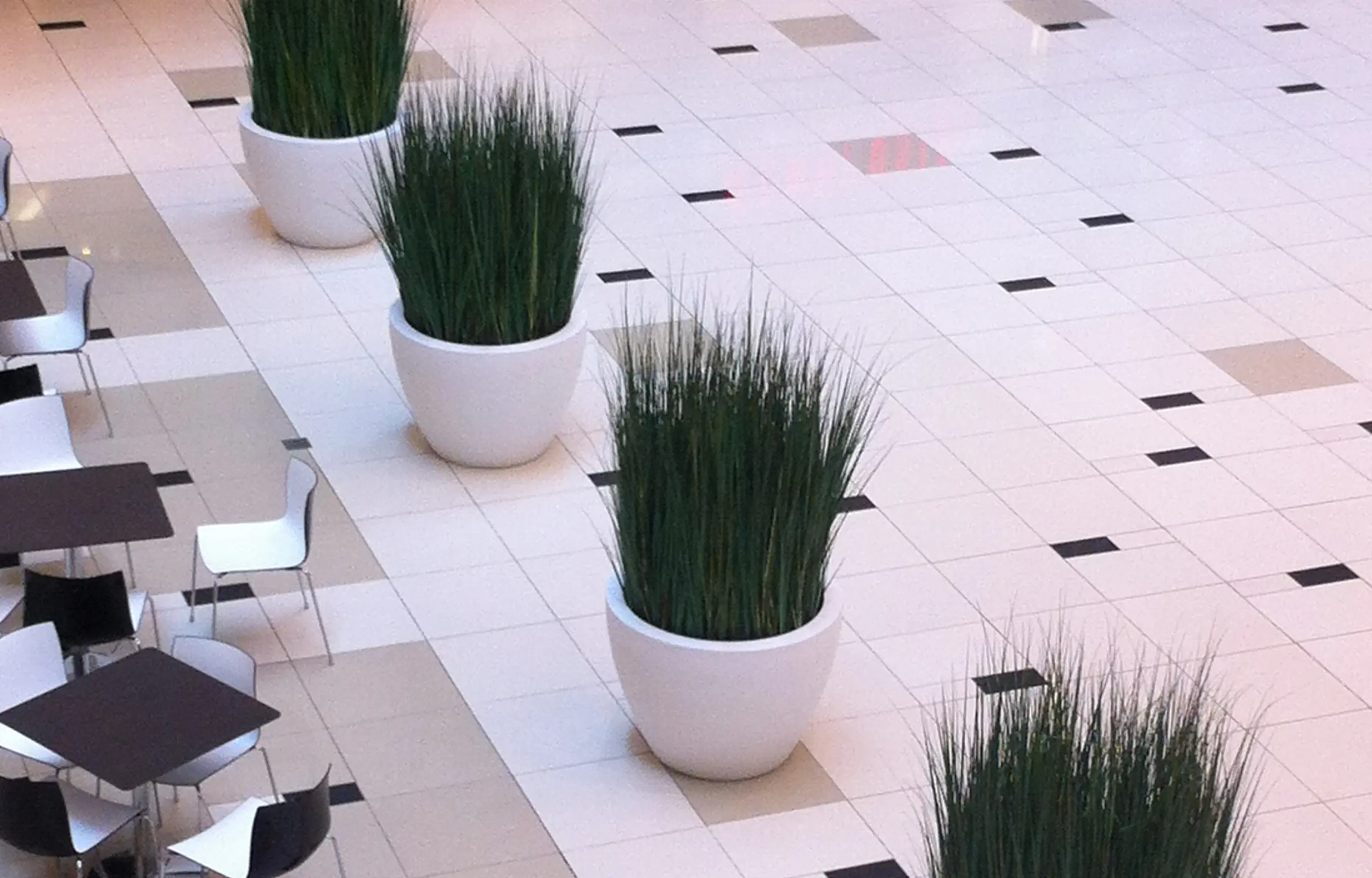 Live plants in decorative plants in mall food court