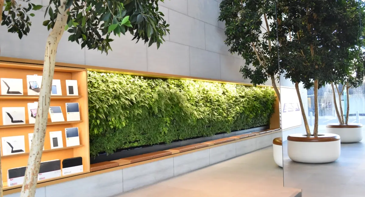 Indoor greenery in tech retail store