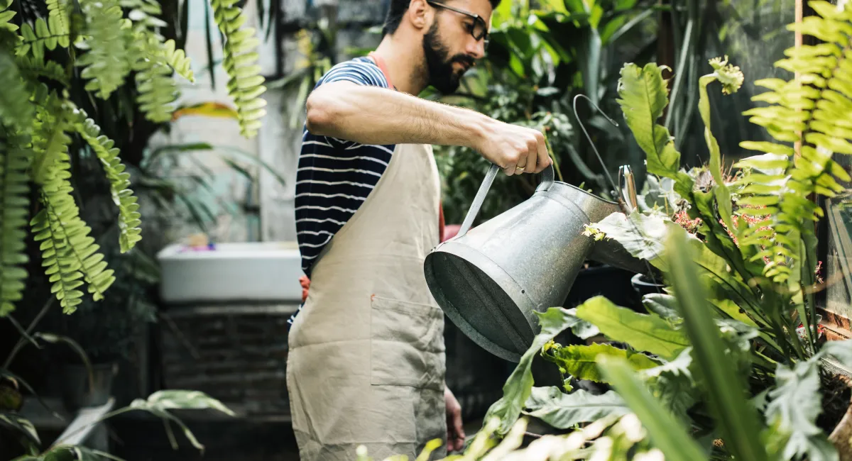 image-banner-stock-white-man-taking-care-of-the-plants-990940834.webp