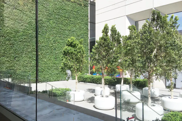 Apple Union Square, San Francisco courtyard project