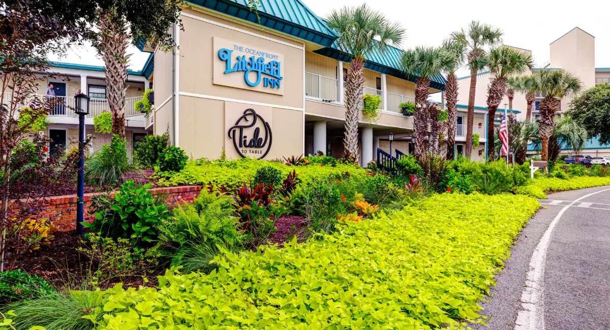 A beautiful and upscale exterior plantscape oasis that welcomes guests with stunning colors.