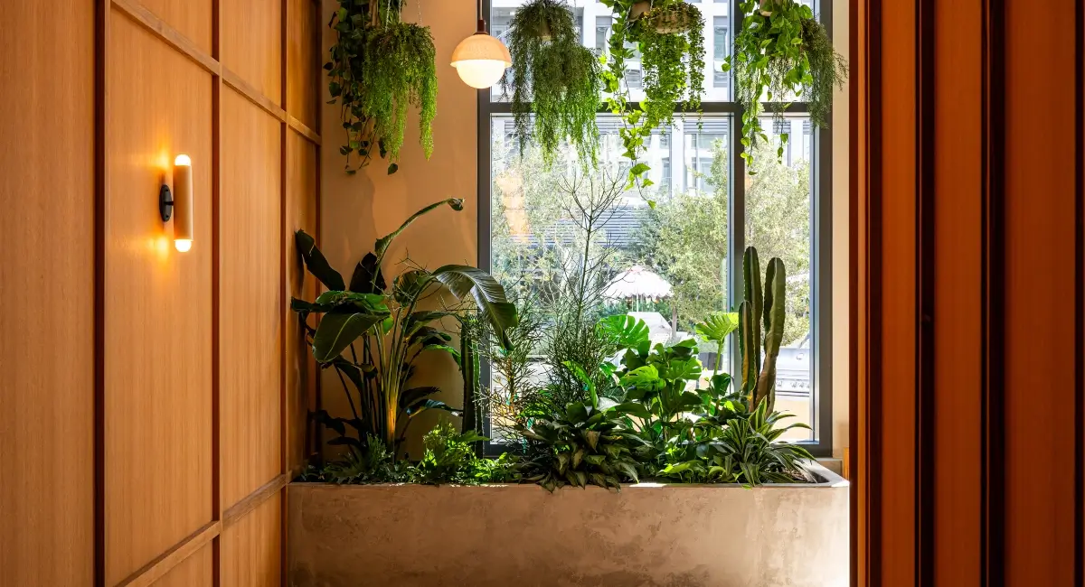 Indoor greenery in luxury apartment