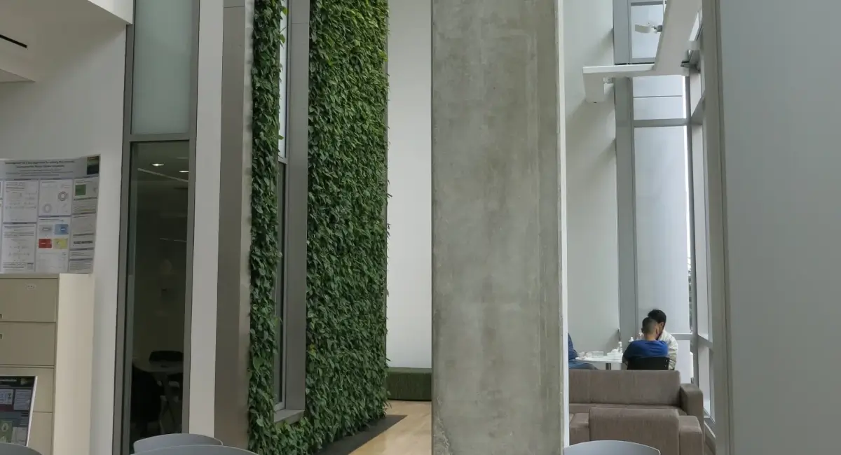 Green wall in George Washington University