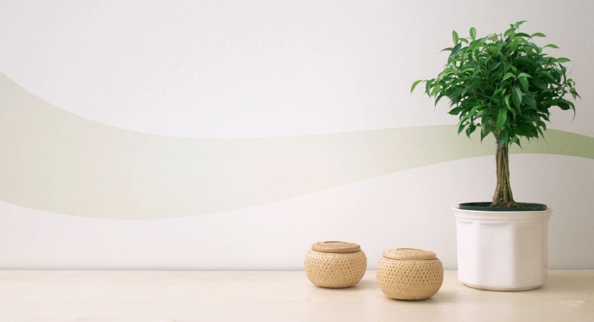 image-banner-stock-nordic-desing-composition-139527640.webp