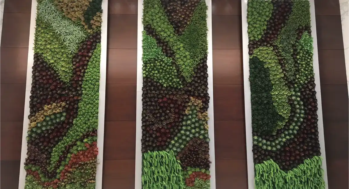 Framed wall of plant hanging on a wall
