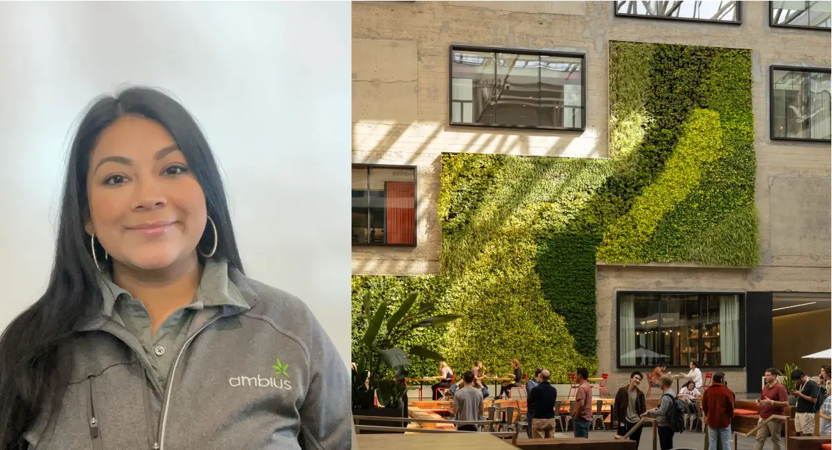 Yenni Rivas green wall Brannan 888