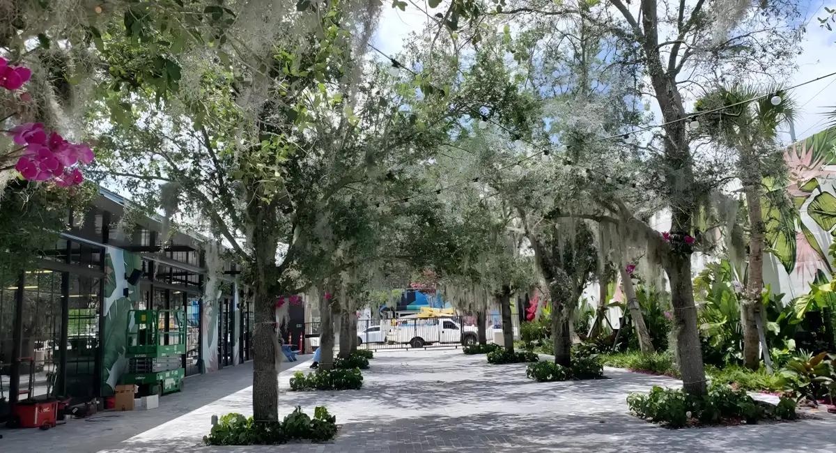 Exterior plantscape with trees
