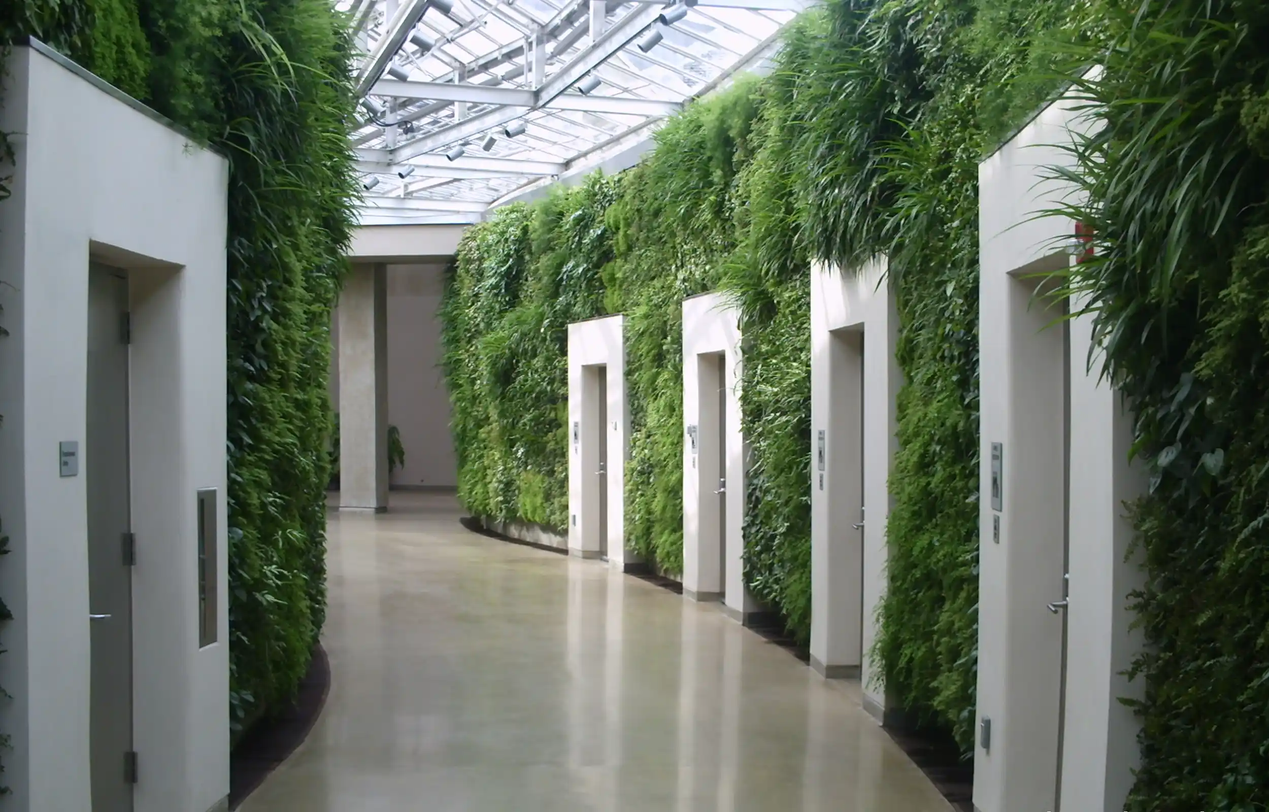 Green wall in commercial property hallway by elevators