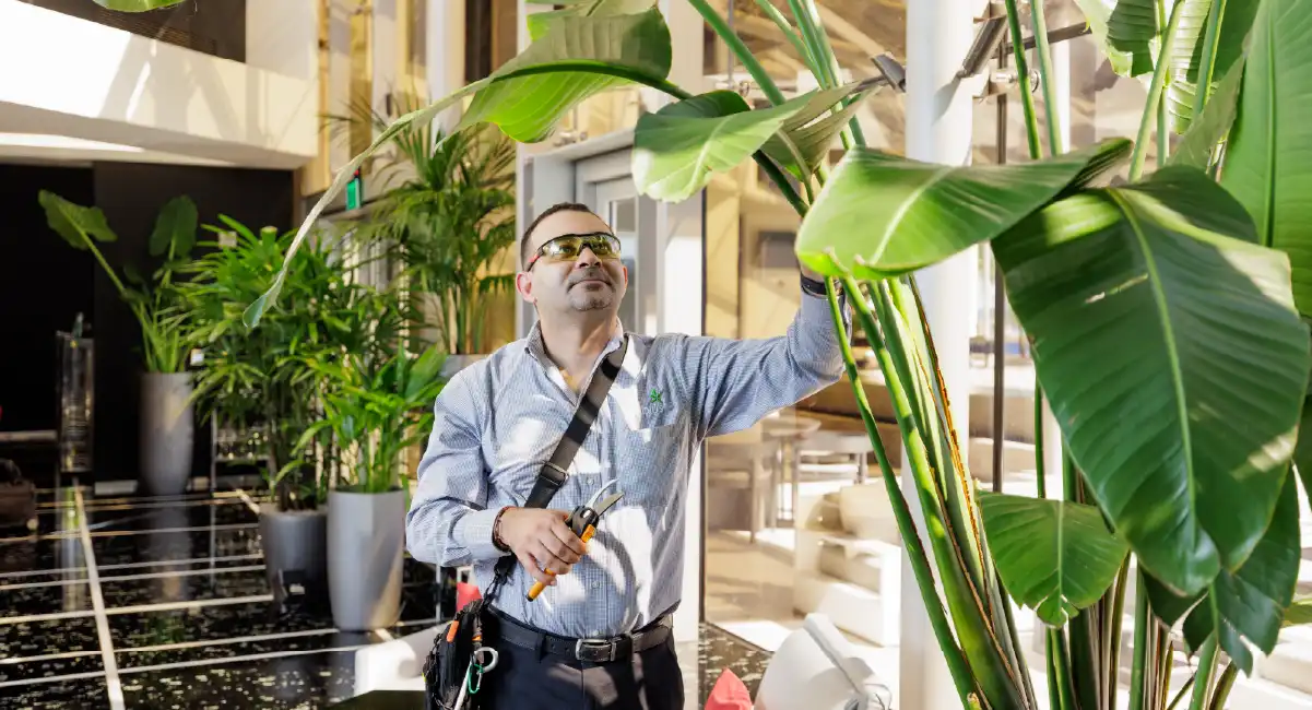 Technician caring for indoor plants in a bright commercial lobby filled with large greenery and natural light.