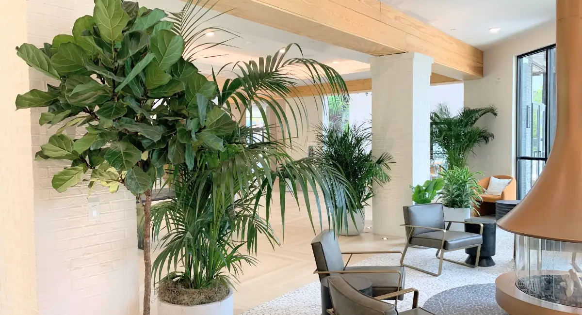 Indoor potted trees in apartment common area