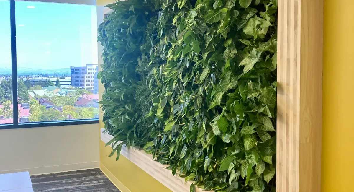 Framed green wall