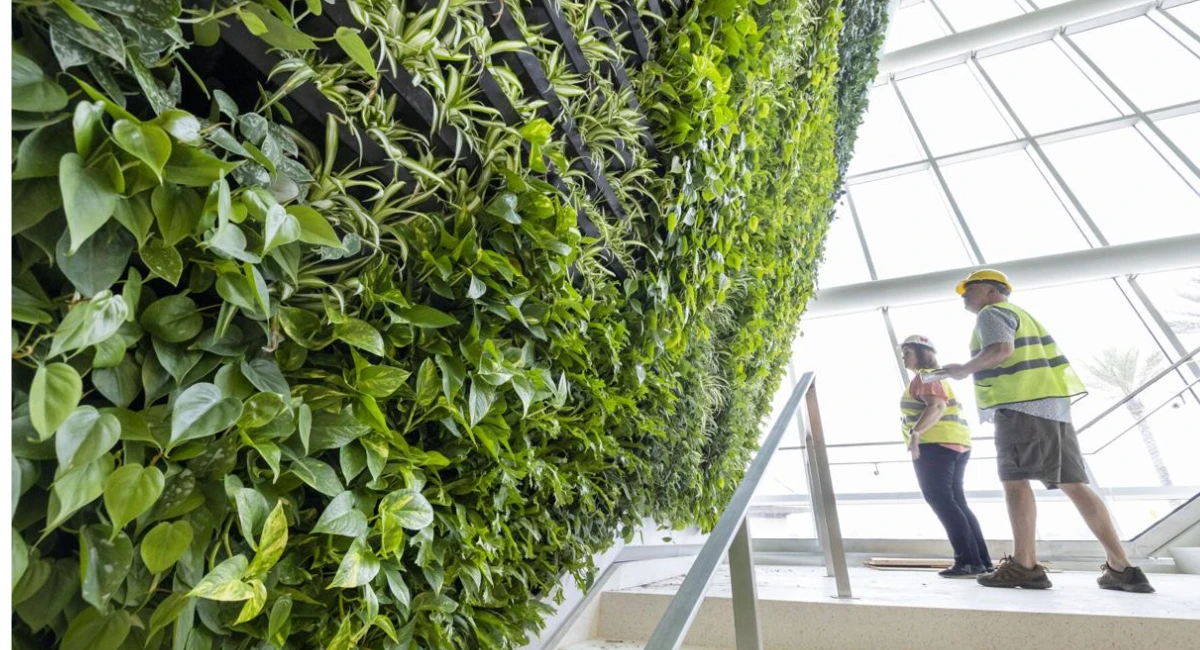 Technicians working on live green wall.