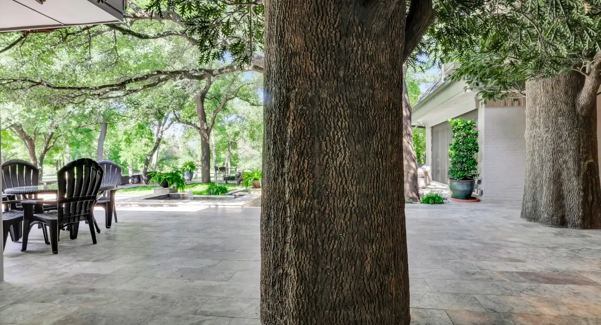 A shaded patio area featuring Adirondack chairs and a large artificial tree trunk in the foreground.