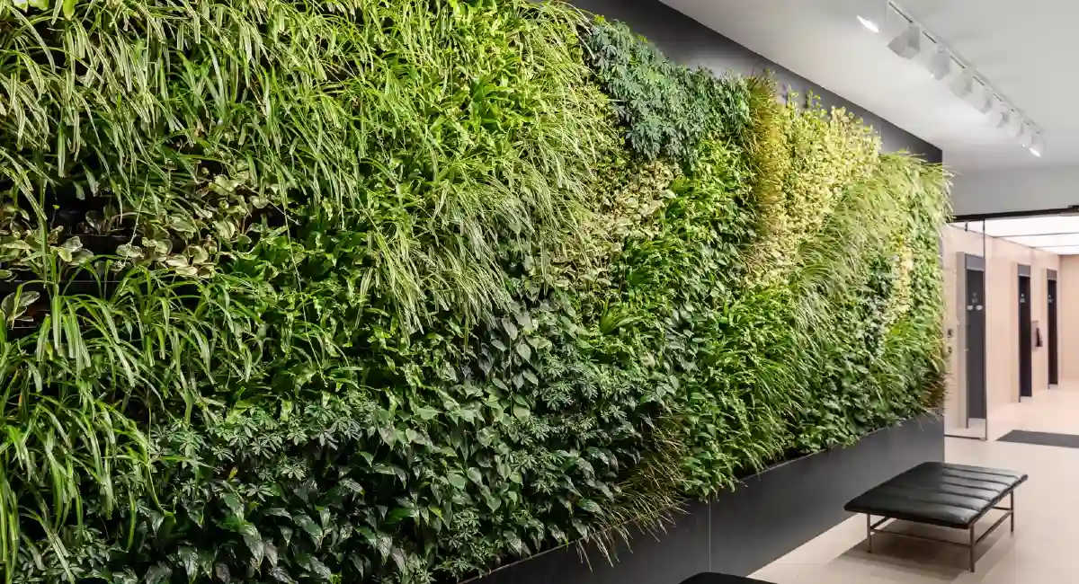 Green wall in hallway