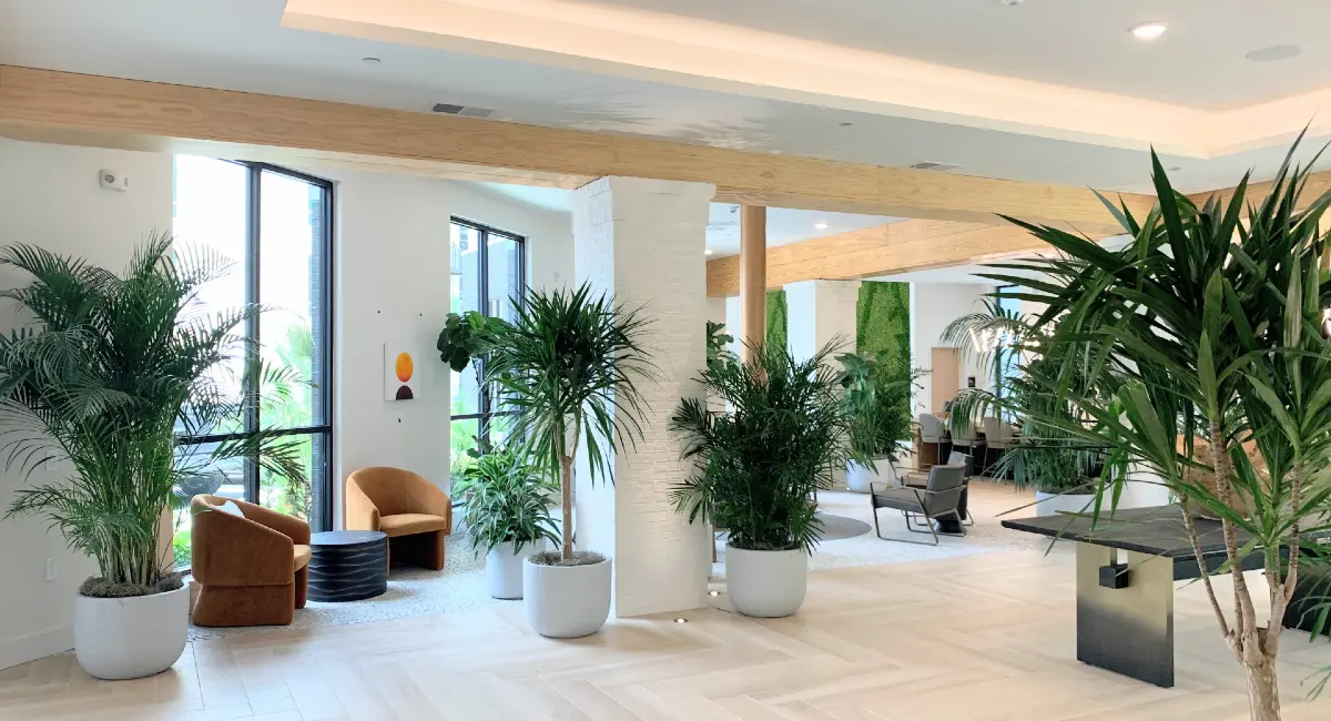 Indoor potted trees in apartment common area
