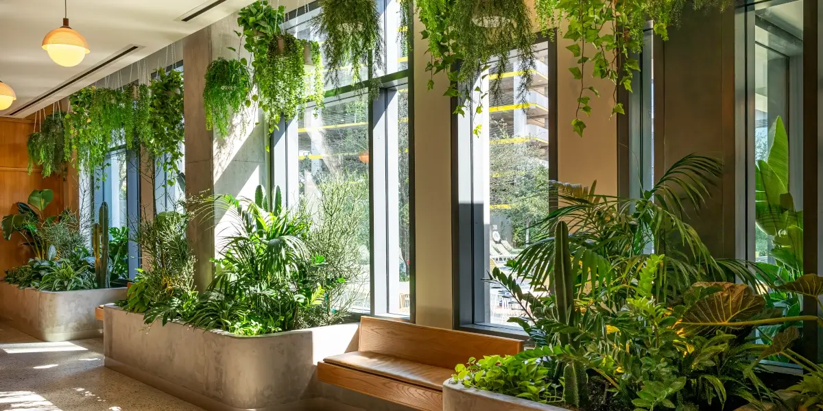 Potted plants in hallway sitting area