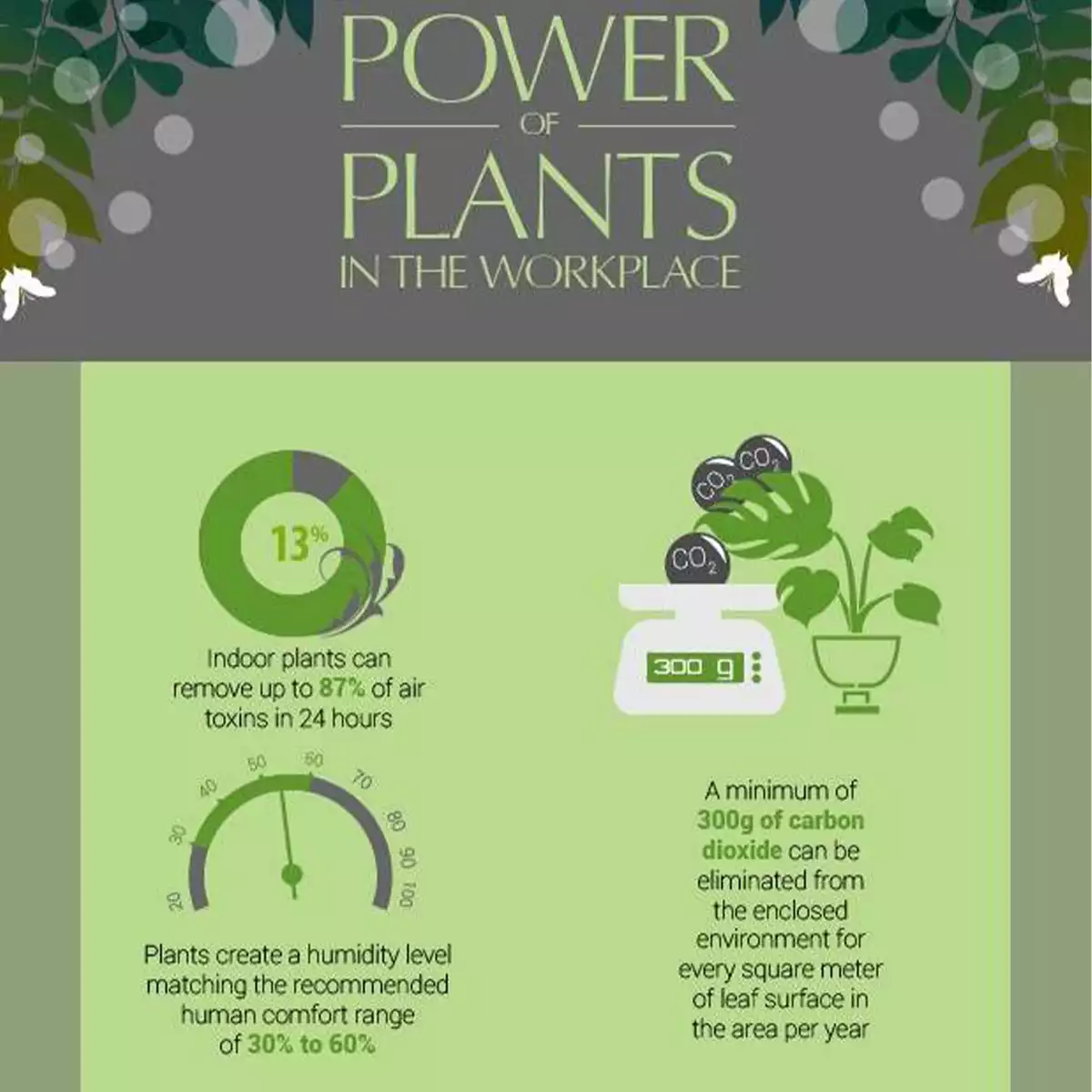 scentinfographic