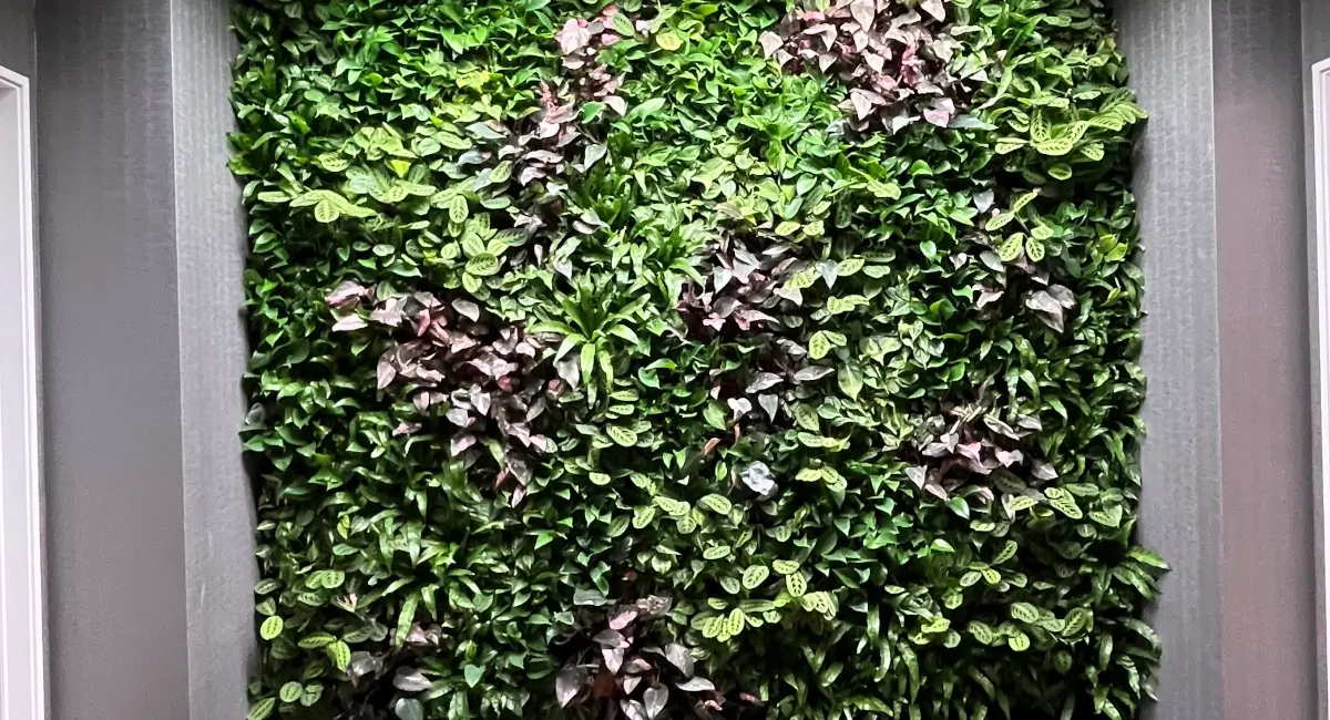 Two story green wall