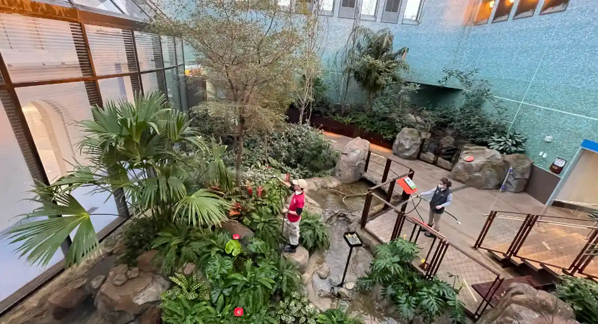 Live greenery in birdhouse aviary