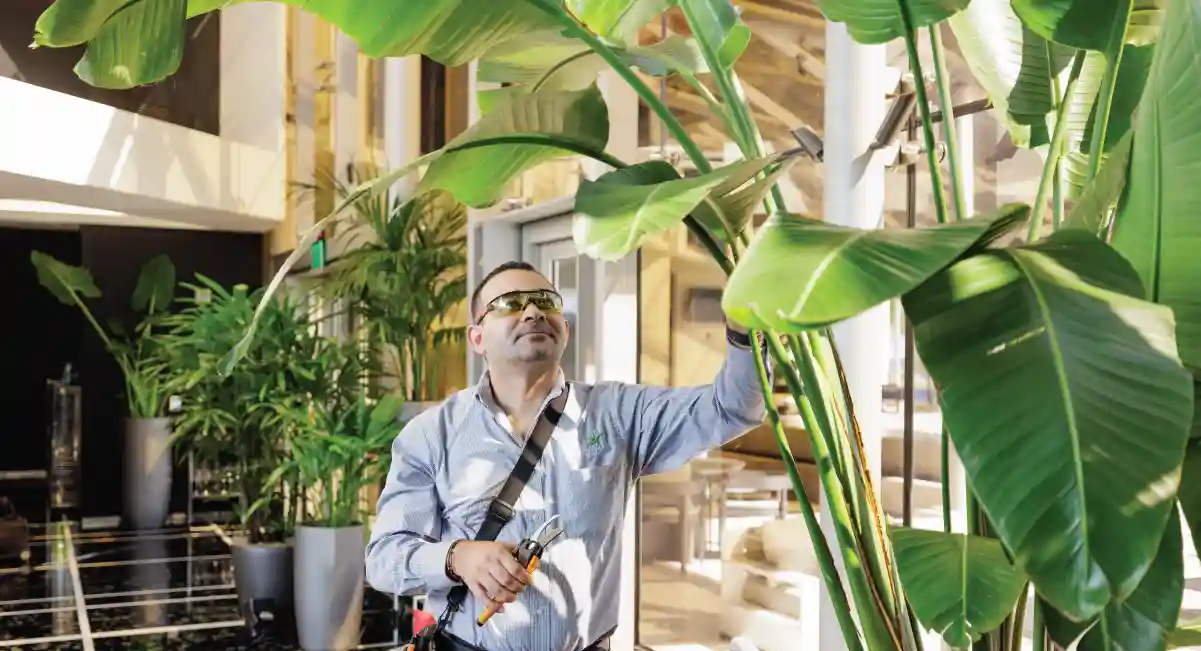 Man doing maintenance on a plant