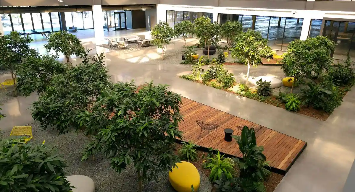 Overhead view of atrium with live plants