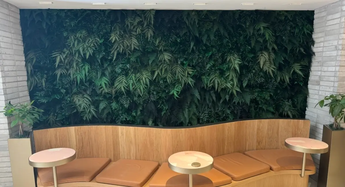 Close-up of a dense green fern wall behind a curved wooden seating area in a contemporary retail space.