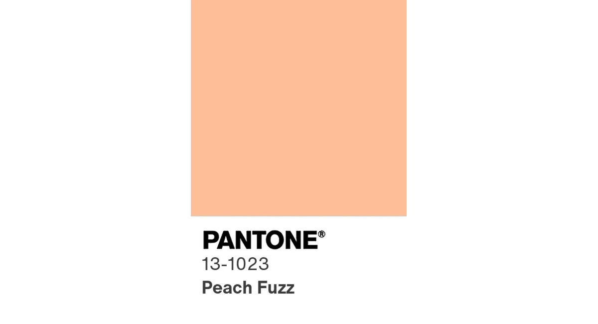 Color swatch of Peach Fuzz by Pantone® 23-1023