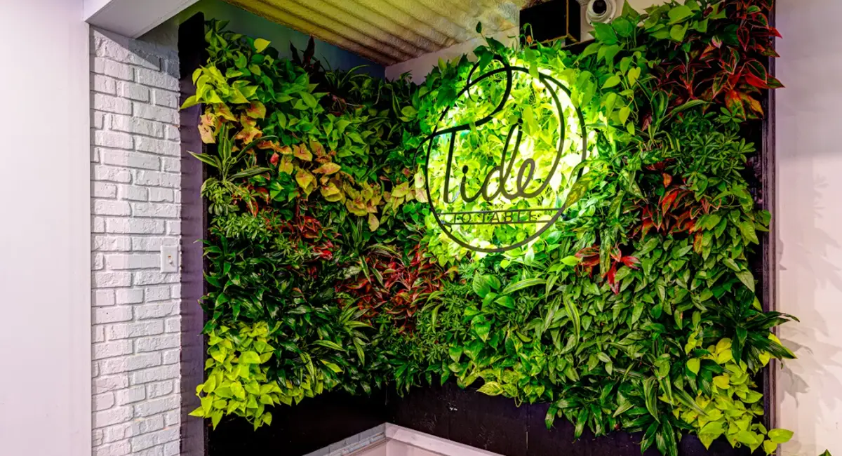 Biophilic Interior Design