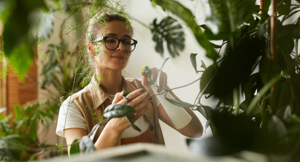 image-banner-stock-care-of-home-plants-1213127280.webp