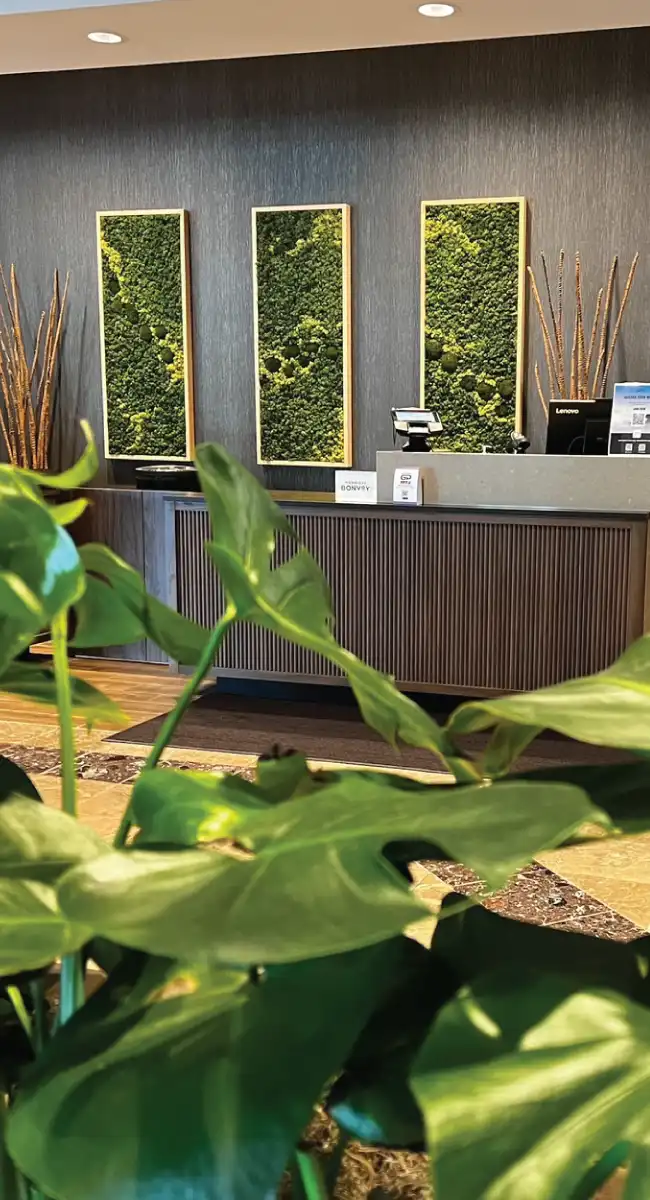 Frame of plants hangng in a hotel reception