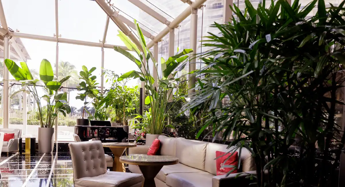 Indoor garden space with tropical plants and seating in a sunlit commercial atrium.