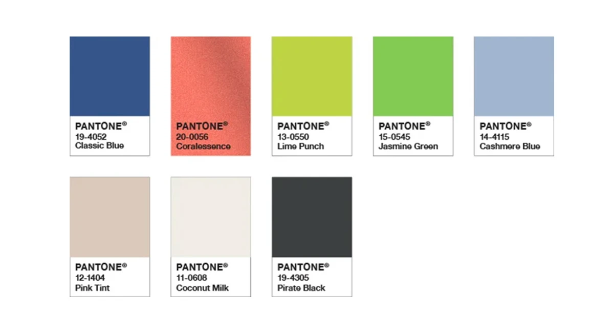 image-stock-ambius-pantone-snorkle palette.webp