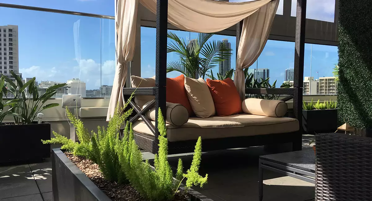 Outdoor sofa with live plants on rooftop