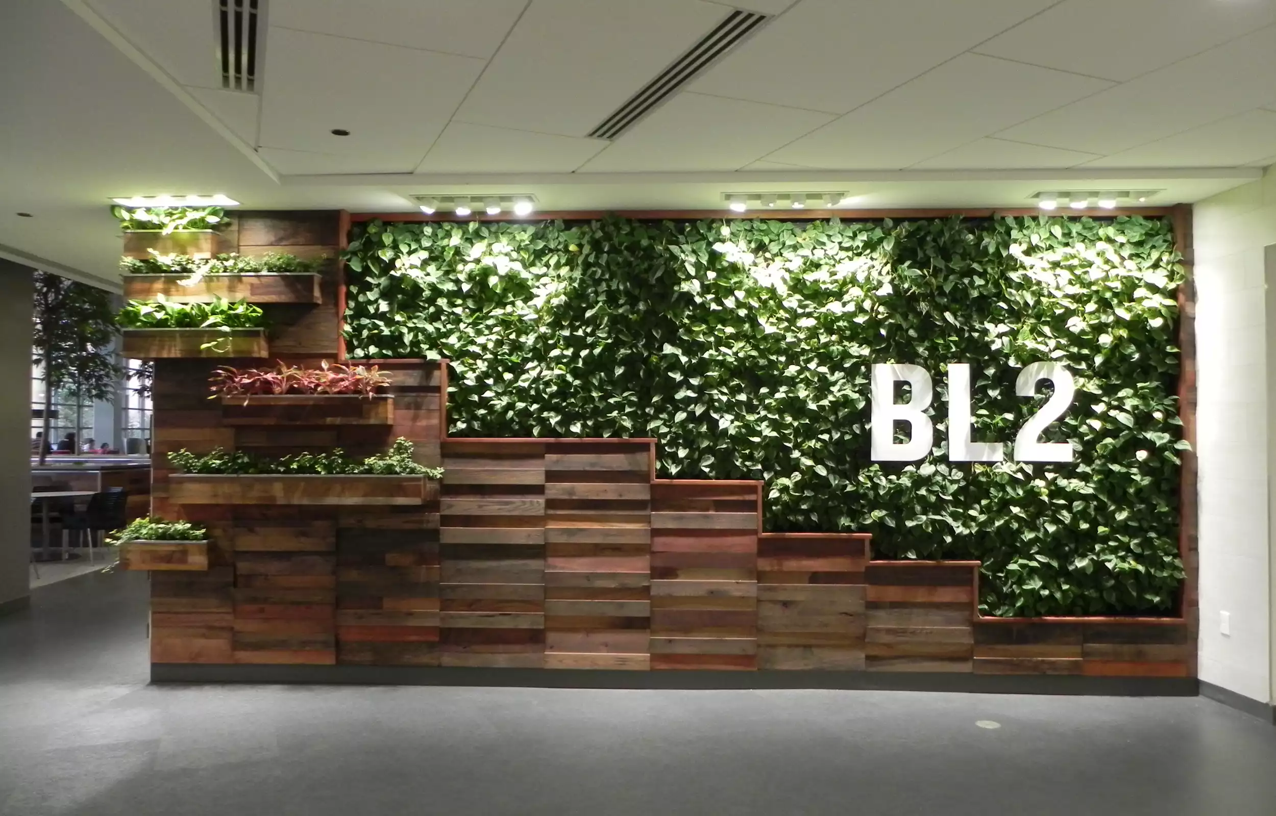 Green wall with wood accents