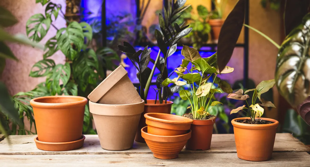 pots